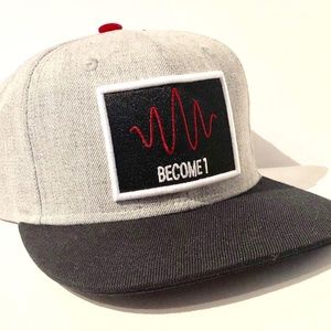 Signal Theory Productions become 1 SnapBack hat